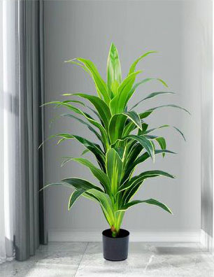 150cm Τεχνητό Διακοσμητικό Φυτό Δράκαινα σε Γλάστρα 150cm Τεχνητό Διακοσμητικό Φυτό Δράκαινα σε Γλάστρα