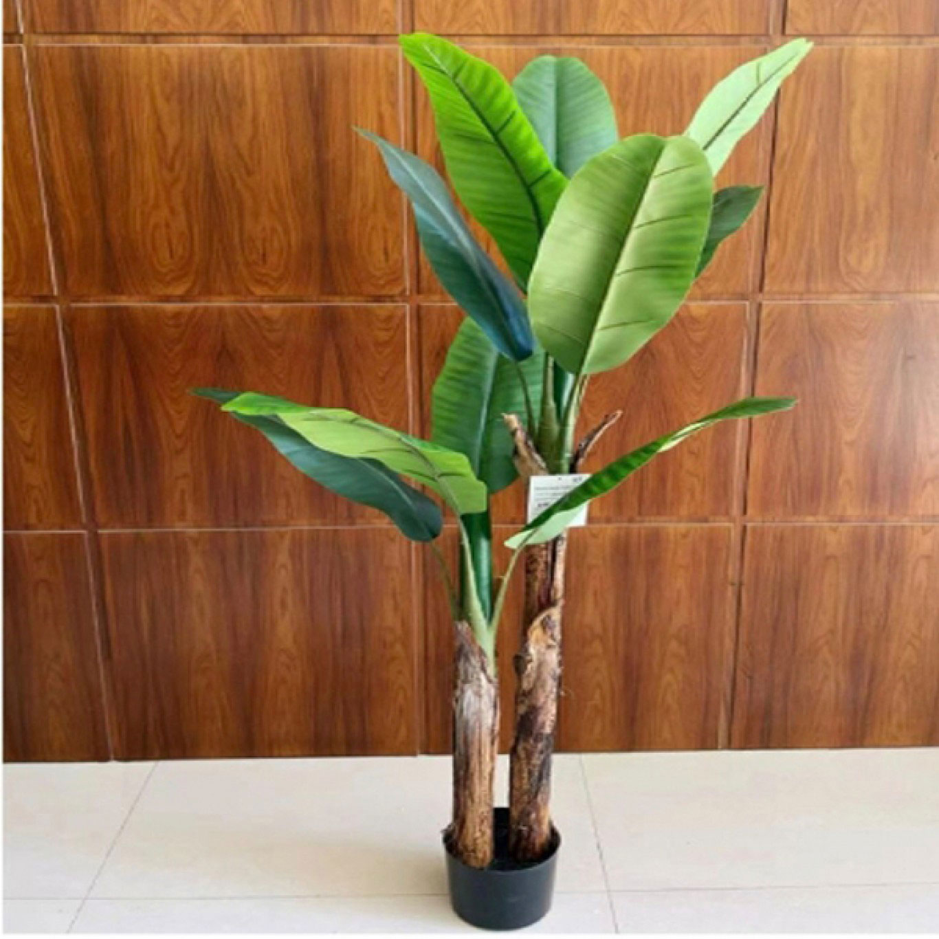 160cm Τεχνητό Διακοσμητικό Φυτό Μπανανιά με 2 Κορμούς σε Γλάστρα 160cm Τεχνητό Διακοσμητικό Φυτό Μπανανιά με 2 Κορμούς σε Γλάστρα