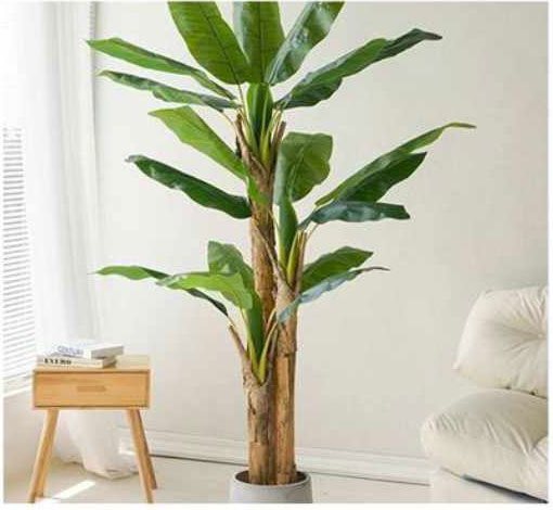 160cm Τεχνητό Διακοσμητικό Φυτό Μπανανιά με 3 Κορμούς σε Γλάστρα 160cm Τεχνητό Διακοσμητικό Φυτό Μπανανιά με 3 Κορμούς σε Γλάστρα