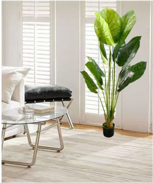 160cm Τεχνητό Διακοσμητικό Φυτό Πλατύφυλλο σε Γλάστρα 160cm Τεχνητό Διακοσμητικό Φυτό Πλατύφυλλο σε Γλάστρα