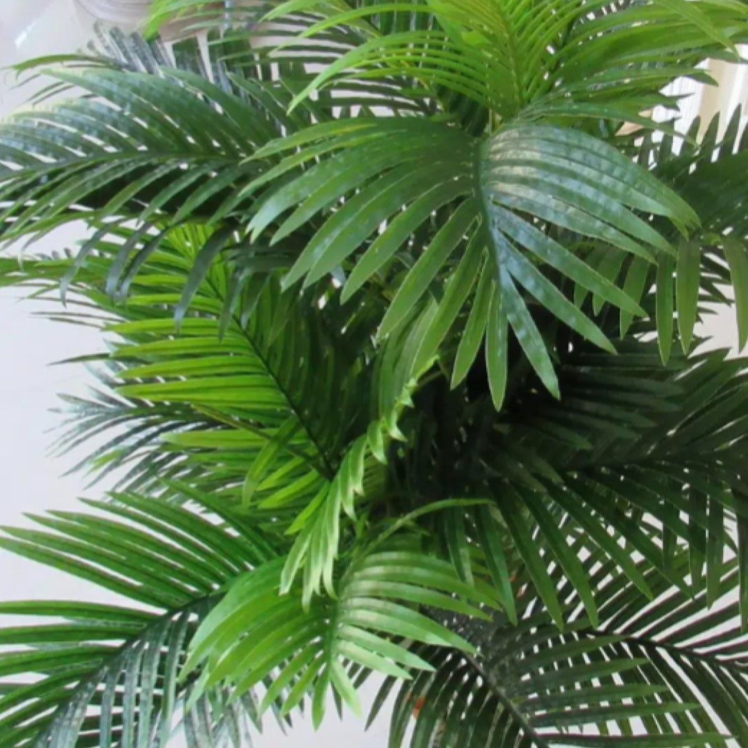 180cm Τεχνητό Διακοσμητικό Δέντρο Φοίνικας 180cm Τεχνητό Διακοσμητικό Δέντρο Φοίνικας