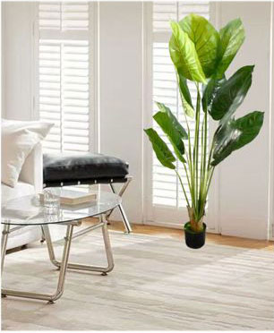180cm Τεχνητό Διακοσμητικό Φυτό Αλοκάσια σε Γλάστρα 180cm Τεχνητό Διακοσμητικό Φυτό Αλοκάσια σε Γλάστρα