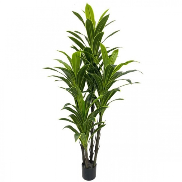180cm Τεχνητό Διακοσμητικό Φυτό Δράκαινα με 4 Κορμούς σε Γλάστρα 180cm Τεχνητό Διακοσμητικό Φυτό Δράκαινα με 4 Κορμούς σε Γλάστρα