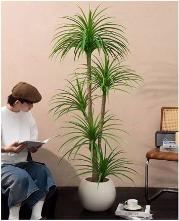 180cm Τεχνητό Διακοσμητικό Φυτό Δράκαινα σε Γλάστρα 180cm Τεχνητό Διακοσμητικό Φυτό Δράκαινα σε Γλάστρα
