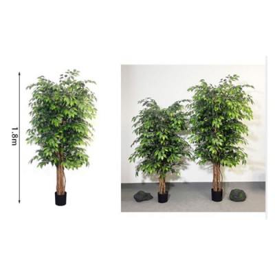 180cm Τεχνητό Διακοσμητικό Φυτό Μπένζαμιν σε Γλάστρα 180cm Τεχνητό Διακοσμητικό Φυτό Μπένζαμιν σε Γλάστρα