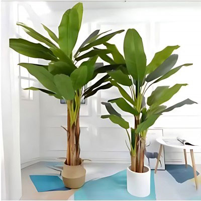 200cm Τεχνητό Διακοσμητικό Δέντρο Μπανανιάς με 3 Κορμούς σε Γλάστρα 200cm Τεχνητό Διακοσμητικό Δέντρο Μπανανιάς με 3 Κορμούς σε Γλάστρα