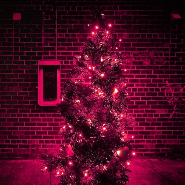 20m Αδιάβροχα IP44 Χριστουγεννιάτικα Λαμπάκια Ρεύματος με Ροζ Φωτισμό και 8 Προγράμματα Λειτουργίας - AIGOSTAR 20m Αδιάβροχα IP44 Χριστουγεννιάτικα Λαμπάκια Ρεύματος με Ροζ Φωτισμό και 8 Προγράμματα Λειτουργίας - AIGOSTAR