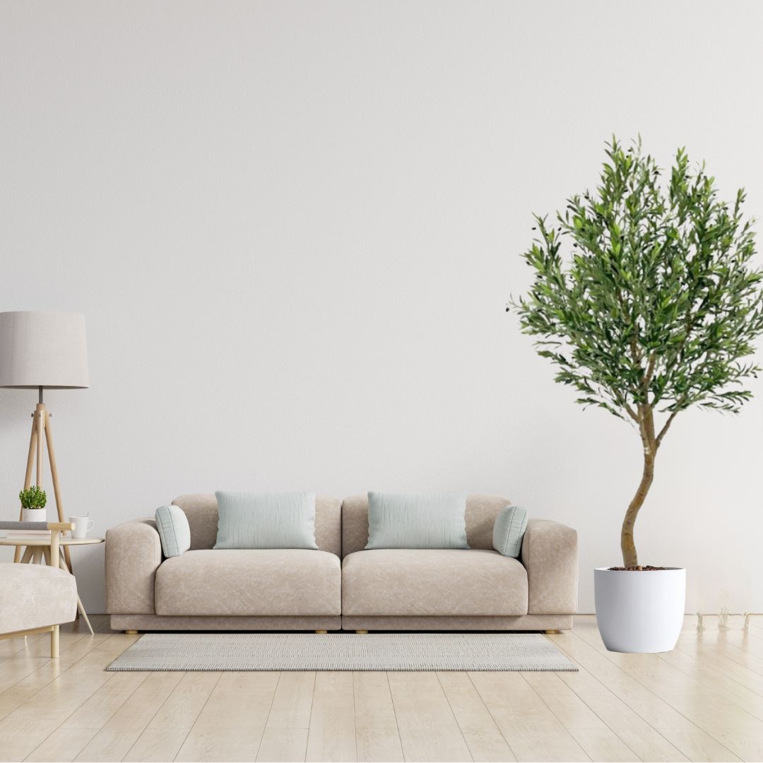 250cm Τεχνητό Διακοσμητικό Φυτό Ελιά σε Γλάστρα 250cm Τεχνητό Διακοσμητικό Φυτό Ελιά σε Γλάστρα