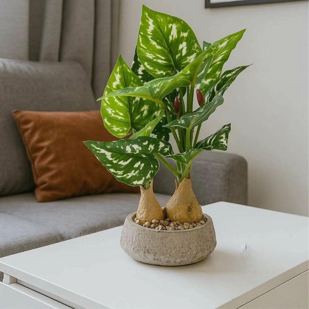 30cm Τεχνητό Διακοσμητικό Φυτό σε Γλάστρα 30cm Τεχνητό Διακοσμητικό Φυτό σε Γλάστρα