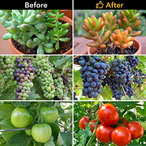 360º Φωτιστικό LED Ανάπτυξης Φυτών Full Spectrum - Διπλή Λάμπα Θερμοκηπίου Εσωτερικού Χώρου 360º Φωτιστικό LED Ανάπτυξης Φυτών Full Spectrum - Διπλή Λάμπα Θερμοκηπίου Εσωτερικού Χώρου