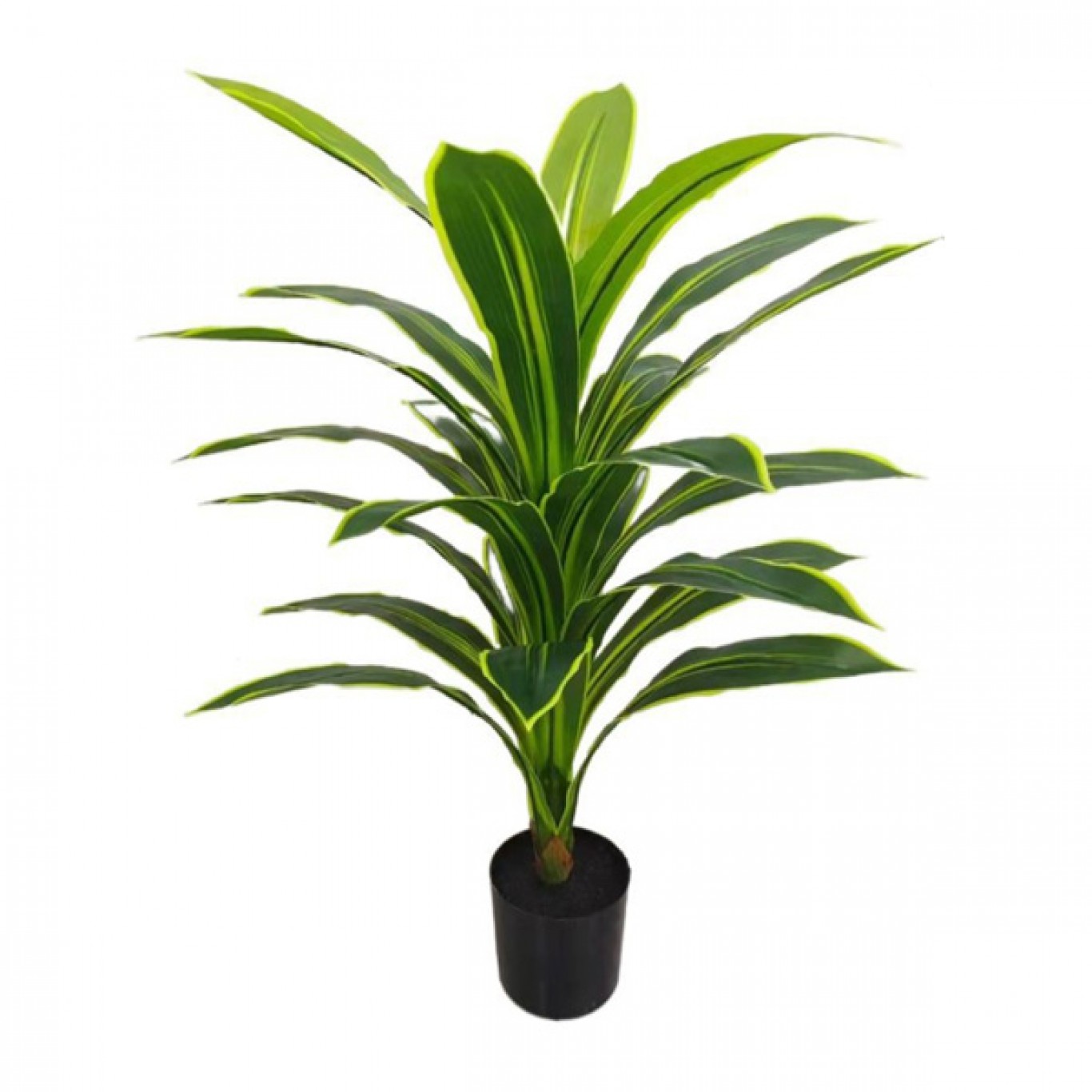 80cm Τεχνητό Διακοσμητικό Φυτό Δράκαινα σε Γλάστρα 80cm Τεχνητό Διακοσμητικό Φυτό Δράκαινα σε Γλάστρα