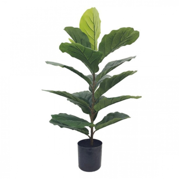 80cm Τεχνητό Διακοσμητικό Φυτό Φίκος Λυράτα σε Γλάστρα 80cm Τεχνητό Διακοσμητικό Φυτό Φίκος Λυράτα σε Γλάστρα