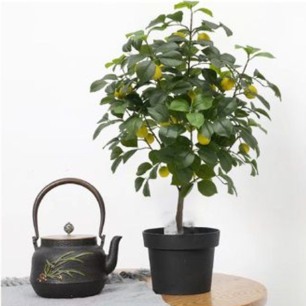 90cm Τεχνητό Διακοσμητικό Φυτό Λεμονιά σε Γλάστρα 90cm Τεχνητό Διακοσμητικό Φυτό Λεμονιά σε Γλάστρα