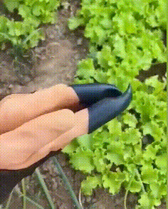 Αδιάβροχα Ανθεκτικά Έξυπνα Γάντια Κήπου με Νύχια για Σκάψιμο - Garden Genie Gloves Αδιάβροχα Ανθεκτικά Έξυπνα Γάντια Κήπου με Νύχια για Σκάψιμο - Garden Genie Gloves