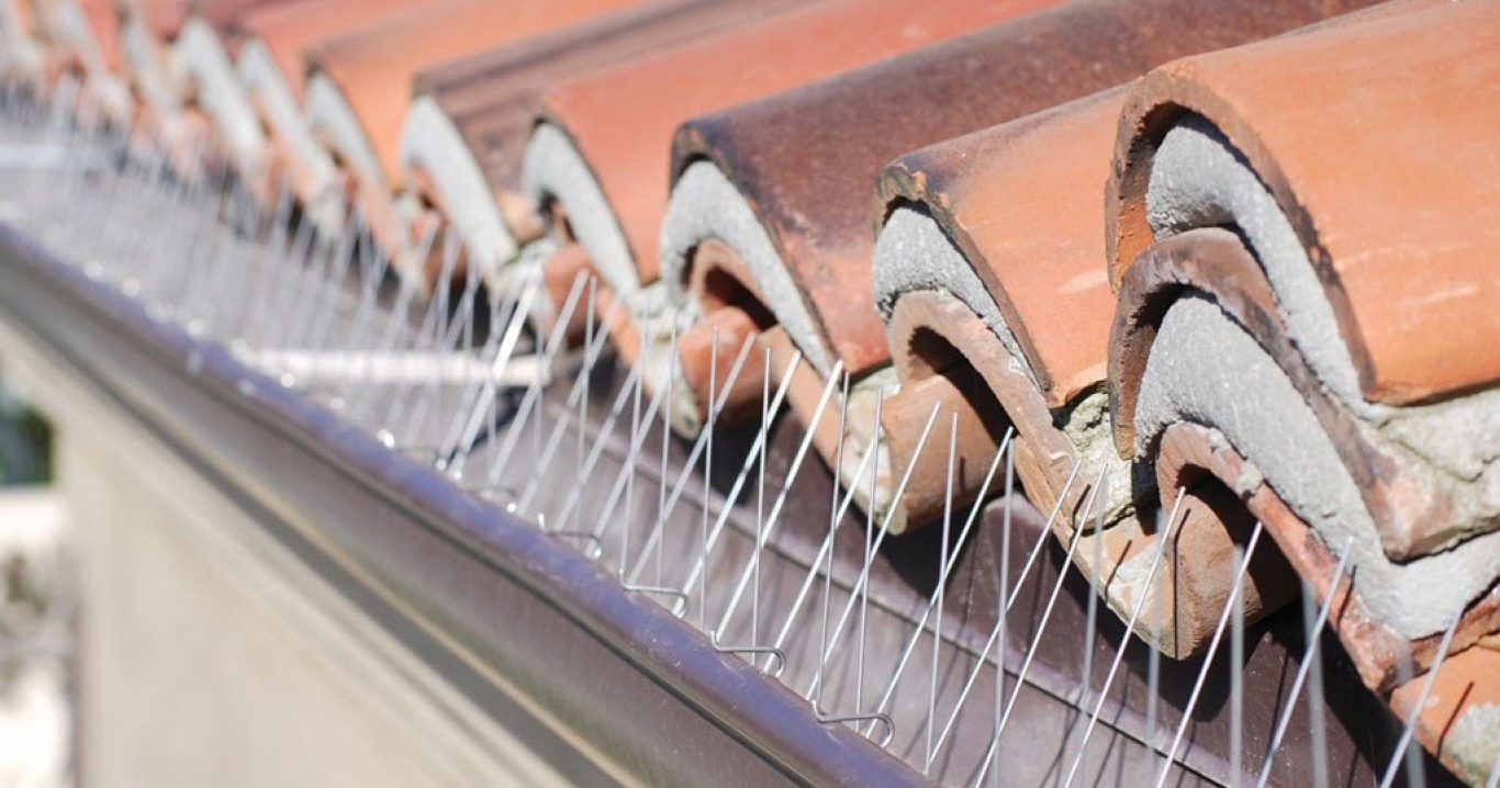 Ακίδες Απώθησης Πουλιών 50cm με Πλαστική Βάση Ακίδες Απώθησης Πουλιών 50cm με Πλαστική Βάση