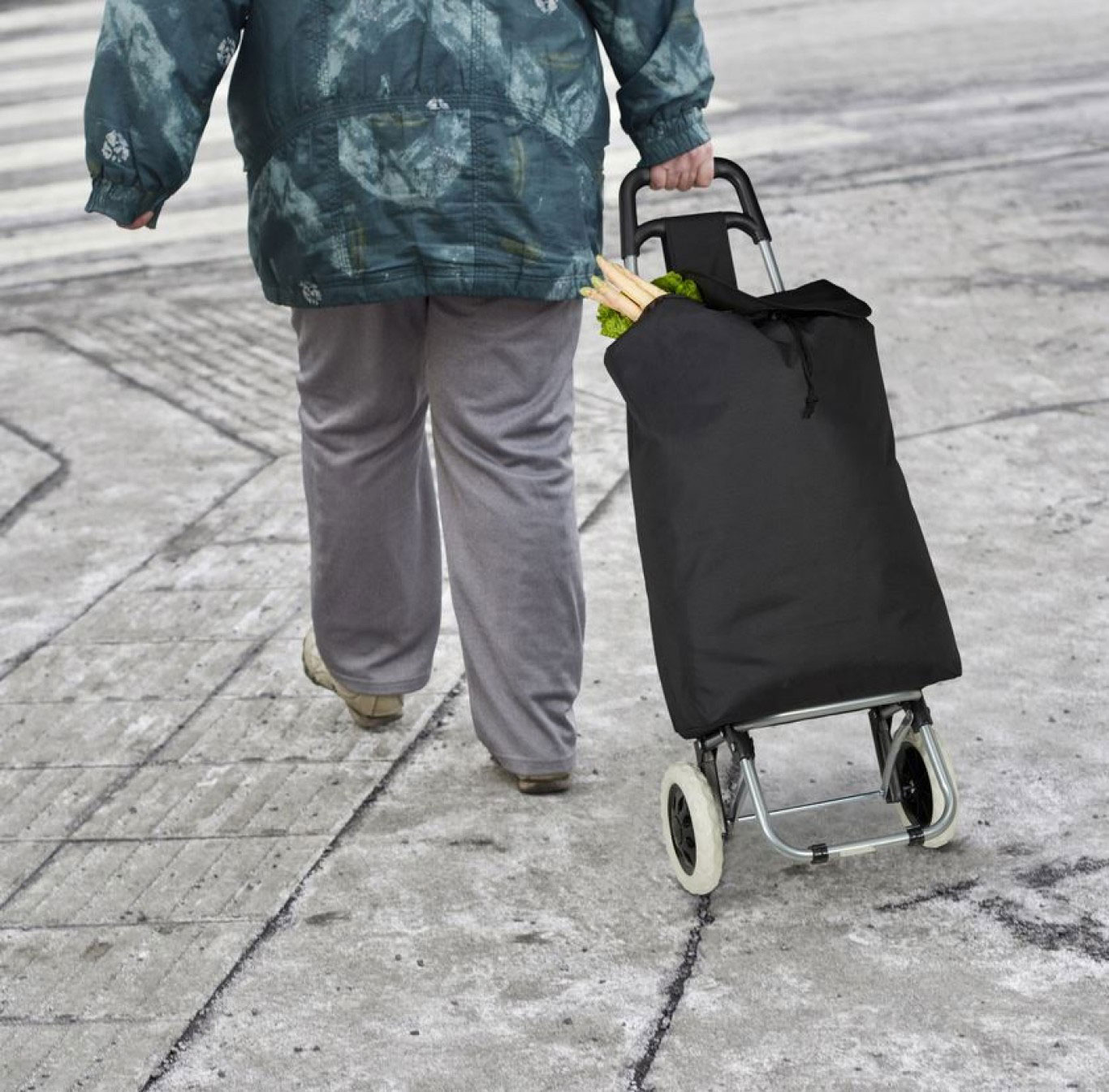 Αναδιπλούμενο Καρότσι Λαϊκής με Σκελετό Αλουμινίου και Αδιάβροχη Επένδυση 42x35x100 cm σε Διάφορα Χρώματα Αναδιπλούμενο Καρότσι Λαϊκής με Σκελετό Αλουμινίου και Αδιάβροχη Επένδυση 42x35x100 cm σε Διάφορα Χρώματα