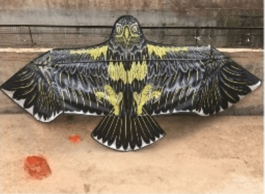 Αναδιπλούμενος Υφασμάτινος Χαρταετός Αετός 95×230 εκ. Αναδιπλούμενος Υφασμάτινος Χαρταετός Αετός 95×230 εκ.