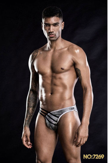 Ανδρικό Sexy Εσώρουχο Brief με Mesh & Λουράκια Μαύρο/Ασημί Ανδρικό Sexy Εσώρουχο Brief με Mesh & Λουράκια Μαύρο/Ασημί
