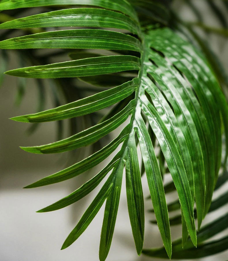 100cm Μεγάλο Πυκνό Τεχνητό Διακοσμητικό Φυτό Φοίνικας Αρέκα σε Μαύρη Γλάστρα 1,9m 100cm Μεγάλο Πυκνό Τεχνητό Διακοσμητικό Φυτό Φοίνικας Αρέκα σε Μαύρη Γλάστρα 1,9m