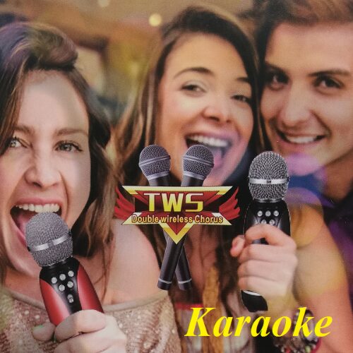 Μικρόφωνο Karaoke Ασύρματο Andowl Q-MC899 Κόκκινο Μικρόφωνο Karaoke Ασύρματο Andowl Q-MC899 Κόκκινο