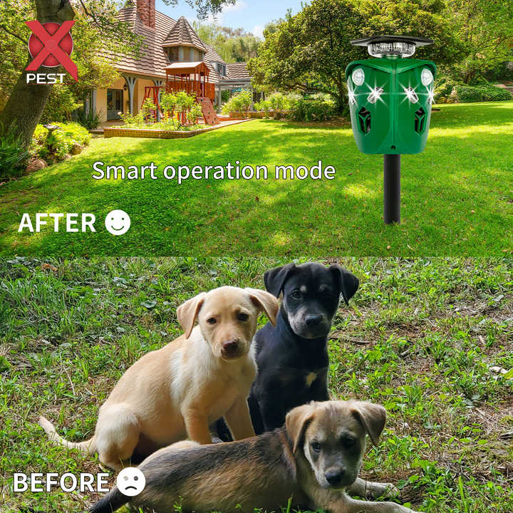 Αυτόνομο Hλιακό Aπωθητικό Zώων Υπερήχων με Aνιχνευτές Kίνησης 360° για 700m² – Πράσινο Αυτόνομο Hλιακό Aπωθητικό Zώων Υπερήχων με Aνιχνευτές Kίνησης 360° για 700m² – Πράσινο