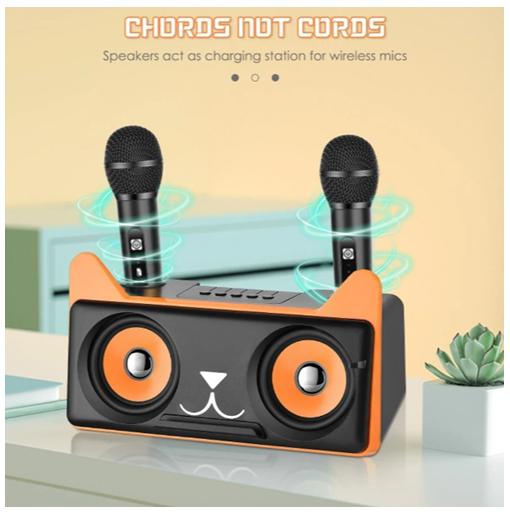 Σύστημα Karaoke με ασύρματα μικρόφωνα και SD, USB, AUX, TF μαύρο Σύστημα Karaoke με ασύρματα μικρόφωνα και SD, USB, AUX, TF μαύρο