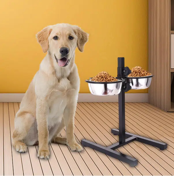 Διπλή Βάση Ταΐστρα Πτυσσόμενη με Μεταλλικά Μπολ Φαγητού & Νερού 2 x 20cm Διπλή Βάση Ταΐστρα Πτυσσόμενη με Μεταλλικά Μπολ Φαγητού & Νερού 2 x 20cm