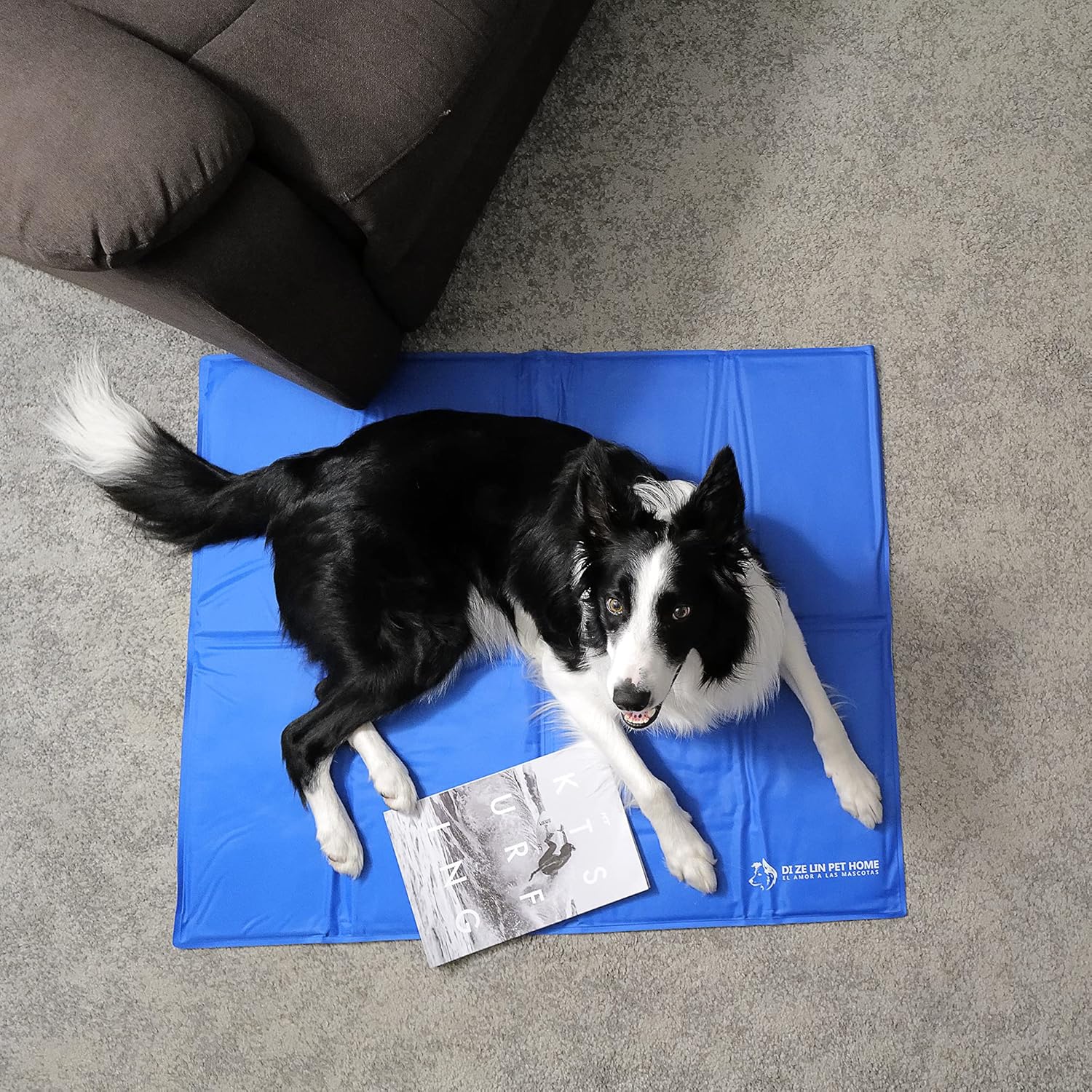 Δροσιστικό Στρωματάκι Κατοικιδίου Διπλής Όψης με Τζελ – 65x50εκ Δροσιστικό Στρωματάκι Κατοικιδίου Διπλής Όψης με Τζελ – 65x50εκ