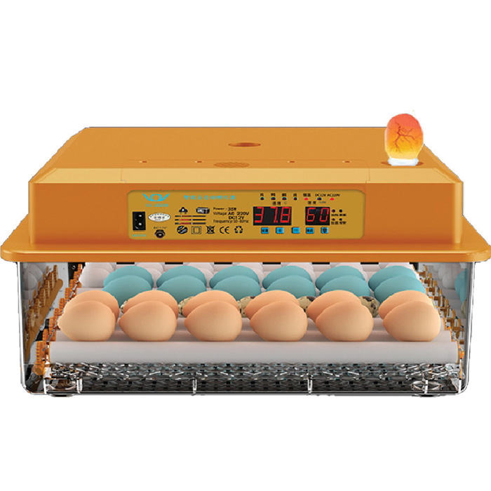 Εκκολαπτική Μηχανή - Κλωσσομηχανη 36 Αυγών με Θερμοστάτη, Ρύθμιση Υγρασίας και Ανεμιστήρα Εκκολαπτική Μηχανή - Κλωσσομηχανη 36 Αυγών με Θερμοστάτη, Ρύθμιση Υγρασίας και Ανεμιστήρα