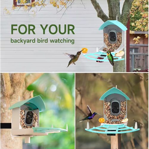 AI Έξυπνη Κάμερα Ηλιακή για Τροφοδοσία Πουλιών – Smart Bird Feeder – Λευκό/Πράσινο AI Έξυπνη Κάμερα Ηλιακή για Τροφοδοσία Πουλιών – Smart Bird Feeder – Λευκό/Πράσινο