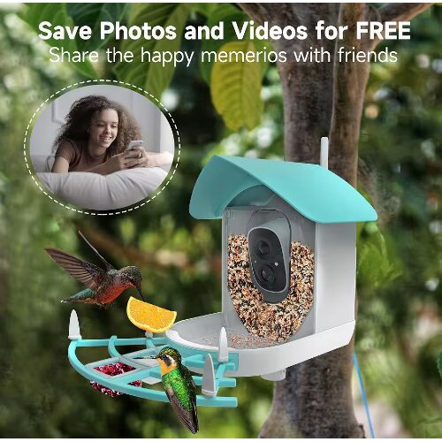 AI Έξυπνη Κάμερα Ηλιακή για Τροφοδοσία Πουλιών – Smart Bird Feeder – Λευκό/Πράσινο AI Έξυπνη Κάμερα Ηλιακή για Τροφοδοσία Πουλιών – Smart Bird Feeder – Λευκό/Πράσινο