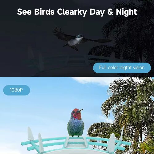 AI Έξυπνη Κάμερα Ηλιακή για Τροφοδοσία Πουλιών – Smart Bird Feeder – Λευκό/Πράσινο AI Έξυπνη Κάμερα Ηλιακή για Τροφοδοσία Πουλιών – Smart Bird Feeder – Λευκό/Πράσινο