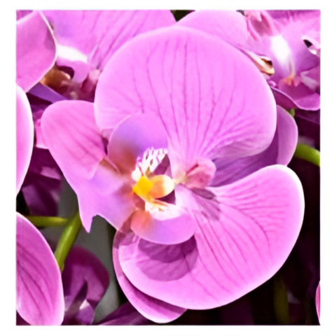 Εντυπωσιακό Τεχνητό Διακοσμητικό Λουλούδι Ροζ Ορχιδέα σε Γλάστρα 90cm Εντυπωσιακό Τεχνητό Διακοσμητικό Λουλούδι Ροζ Ορχιδέα σε Γλάστρα 90cm