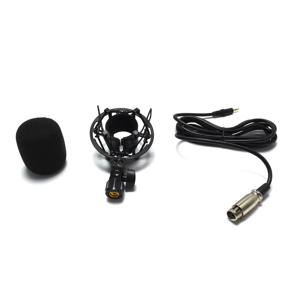 Επαγγελματικό Μικρόφωνο Ηχογράφησης – Live Ραδιοφωνικής Εκπομπής – Ασημί Επαγγελματικό Μικρόφωνο Ηχογράφησης – Live Ραδιοφωνικής Εκπομπής – Ασημί