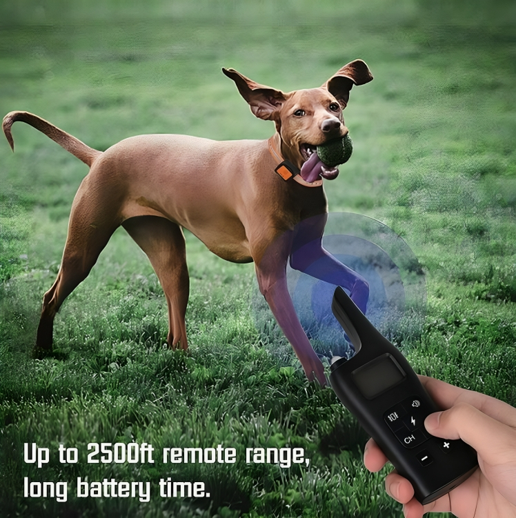 Επαναφορτιζόμενο Κολάρο Εκπαίδευσης Σκύλου - Αδιάβροχο με 4 Λειτουργίες Εκπαίδευσης Επαναφορτιζόμενο Κολάρο Εκπαίδευσης Σκύλου - Αδιάβροχο με 4 Λειτουργίες Εκπαίδευσης