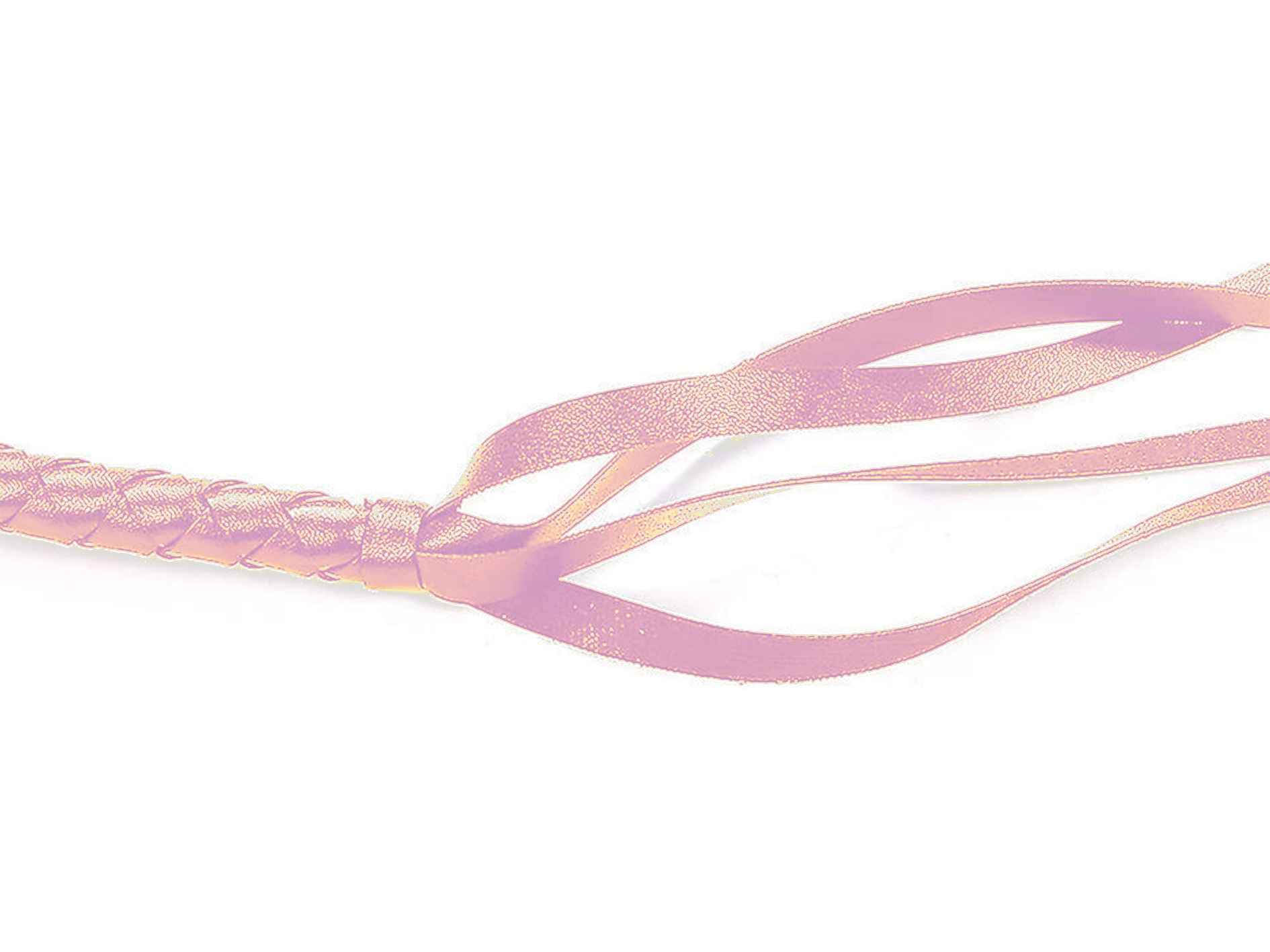 Ερωτικό Παιχνίδι Μαστίγιο Ιππασίας 1.9 Μέτρα Ρόζ Ερωτικό Παιχνίδι Μαστίγιο Ιππασίας 1.9 Μέτρα Ρόζ