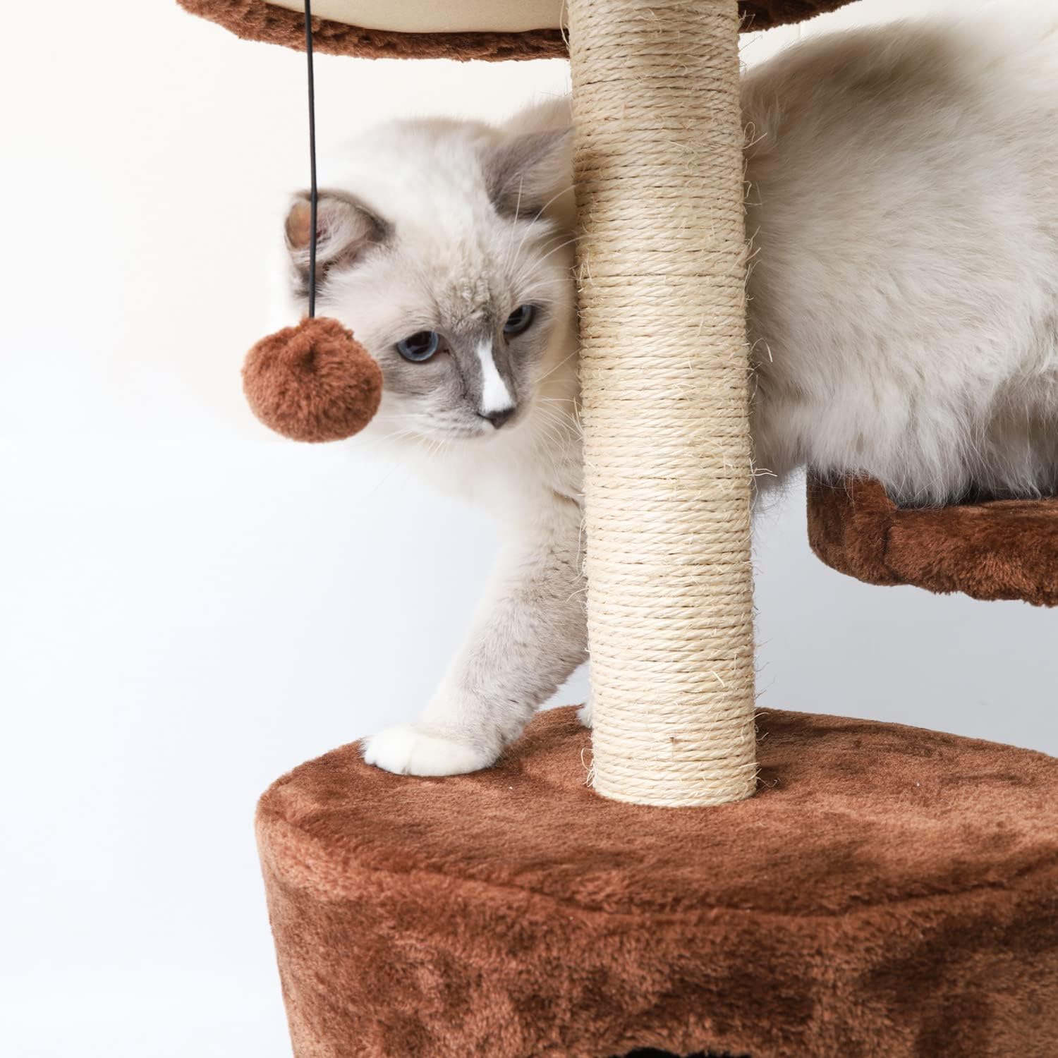 Γατόδεντρο με Ονυχοδρόμιο 2 Επιπέδων & Σπιτάκι 60 cm - Nobleza Γατόδεντρο με Ονυχοδρόμιο 2 Επιπέδων & Σπιτάκι 60 cm - Nobleza