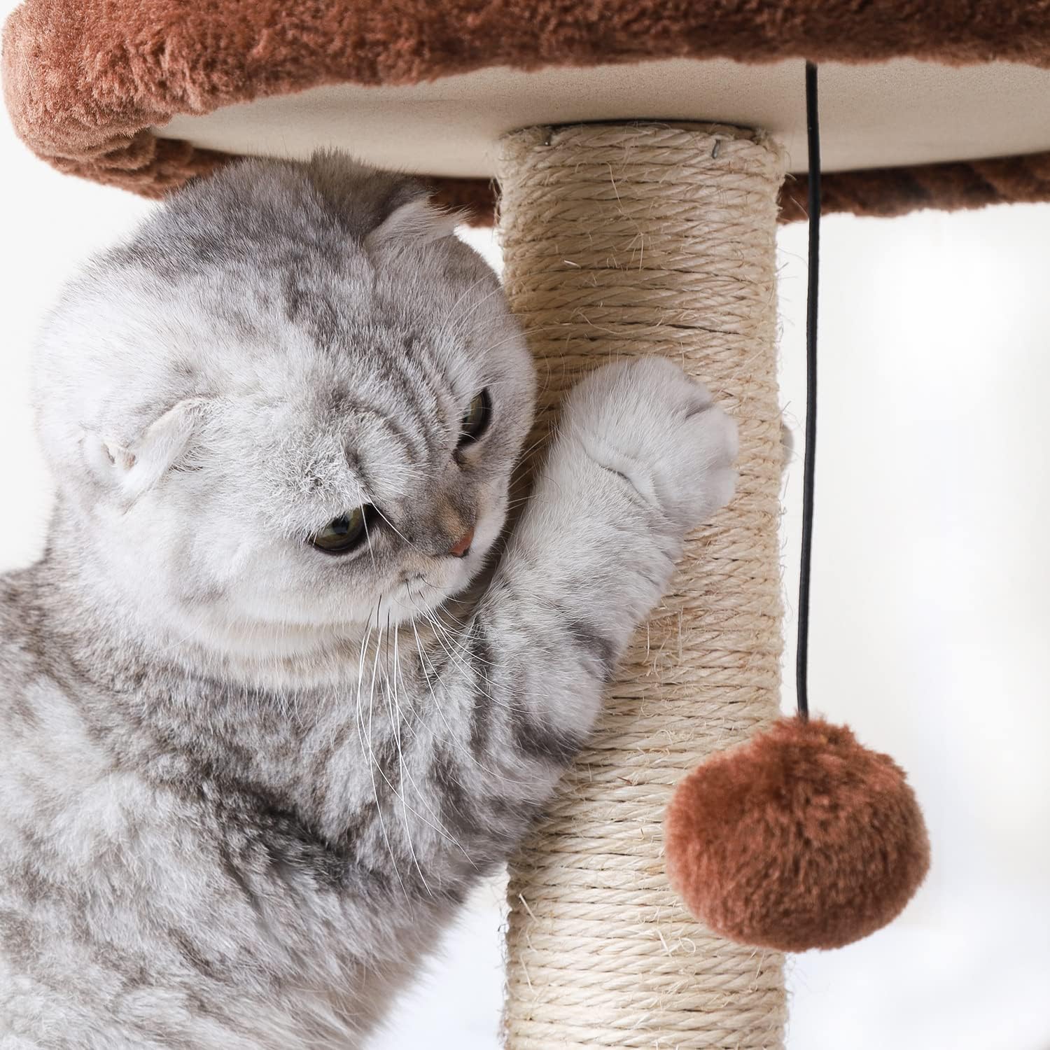 Γατόδεντρο με Ονυχοδρόμιο 2 Επιπέδων & Σπιτάκι 60 cm - Nobleza Γατόδεντρο με Ονυχοδρόμιο 2 Επιπέδων & Σπιτάκι 60 cm - Nobleza