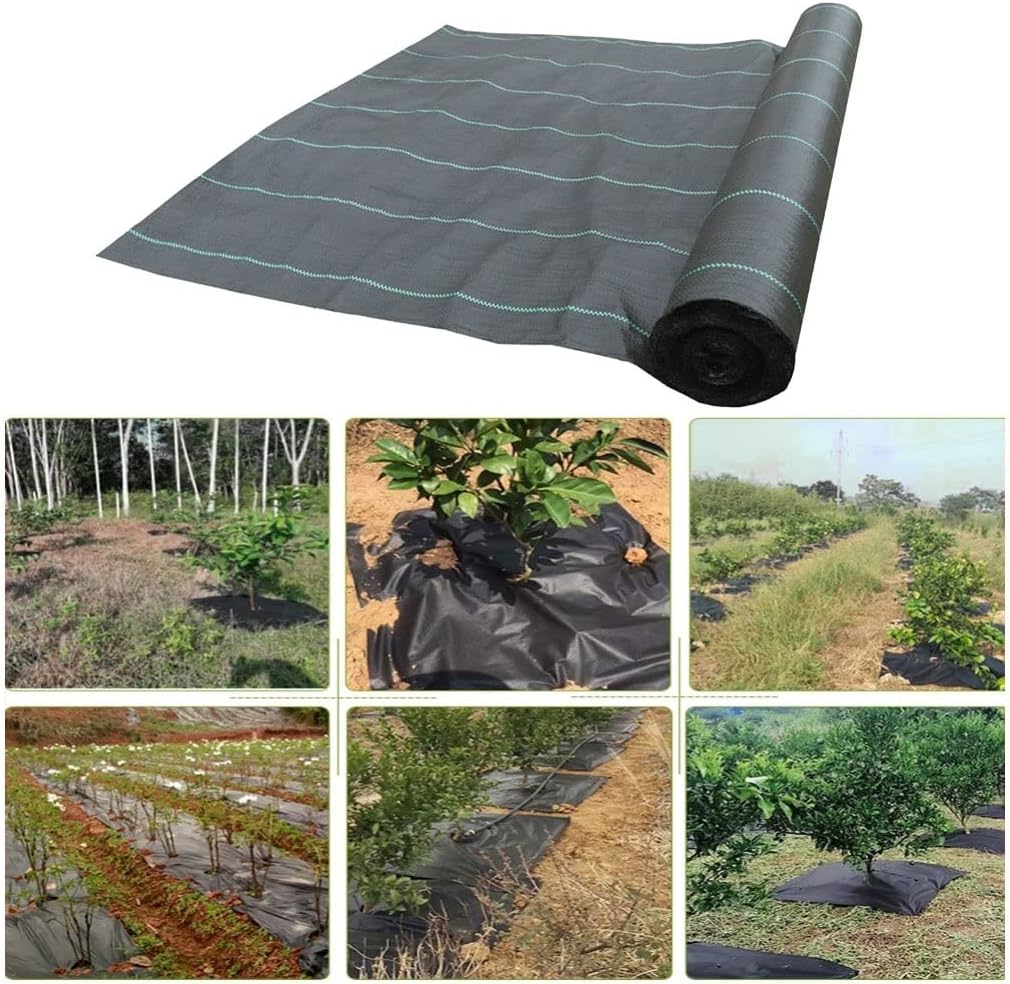 Γεωύφασμα Εδαφοκάλυψης 2x10m - Αντιζιζανιακό Ρολό με UV Προστασία - 100gr ανά Τετραγωνικό Μέτρο Γεωύφασμα Εδαφοκάλυψης 2x10m - Αντιζιζανιακό Ρολό με UV Προστασία - 100gr ανά Τετραγωνικό Μέτρο