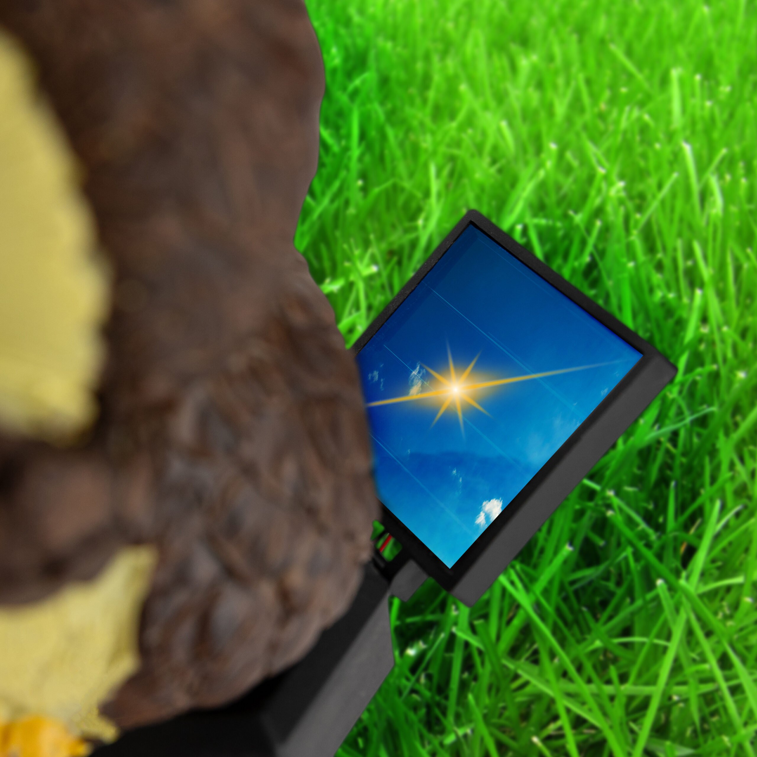 Ηλιακό Φωτιστικό LED Κουκουβάγια για Εξωτερικούς Χώρους με Θερμό Λευκό Φως Ηλιακό Φωτιστικό LED Κουκουβάγια για Εξωτερικούς Χώρους με Θερμό Λευκό Φως