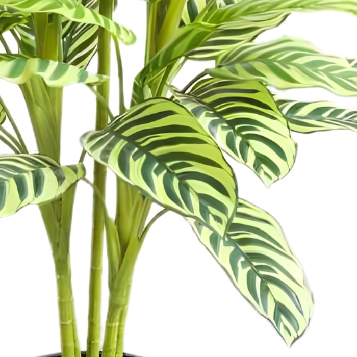 Τεχνητό Διακοσμητικό Φυτό Yellow Velvet 90cm σε Γλαστράκι Τεχνητό Διακοσμητικό Φυτό Yellow Velvet 90cm σε Γλαστράκι