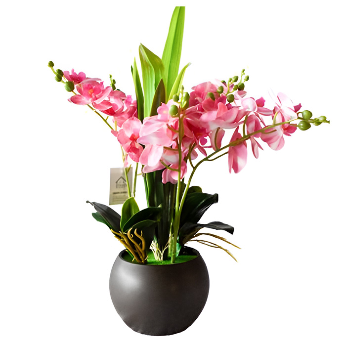Τεχνητή Ορχιδέα 42cm σε Γλάστρα – Elegant Διακοσμητικό Φυτό Εσωτερικού Χώρου Τεχνητή Ορχιδέα 42cm σε Γλάστρα – Elegant Διακοσμητικό Φυτό Εσωτερικού Χώρου