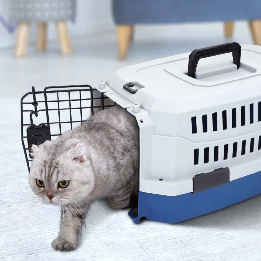 Κλουβάκι Μεταφοράς για Κατοικίδια - Σκύλου & Γάτας 47 x 31 x 26 cm Κλουβάκι Μεταφοράς για Κατοικίδια - Σκύλου & Γάτας 47 x 31 x 26 cm