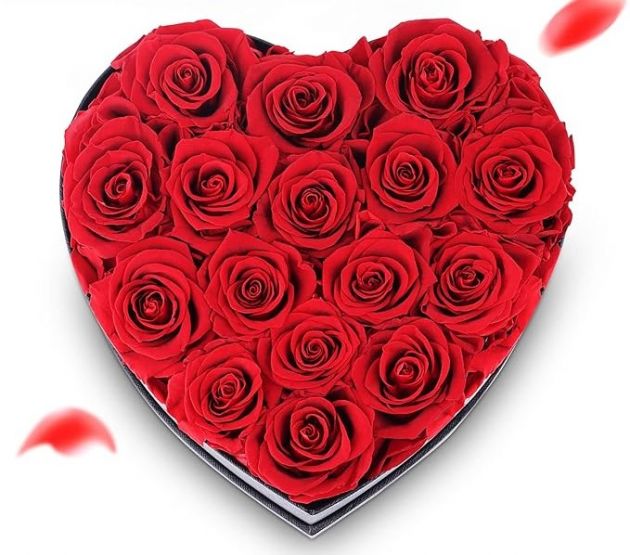 Κουτί σε Σχήμα Καρδιάς με 20 Κόκκινα Τεχνητά Τριαντάφυλλα, Μπρελόκ Καρδιά και Κλειδί Κουτί σε Σχήμα Καρδιάς με 20 Κόκκινα Τεχνητά Τριαντάφυλλα, Μπρελόκ Καρδιά και Κλειδί