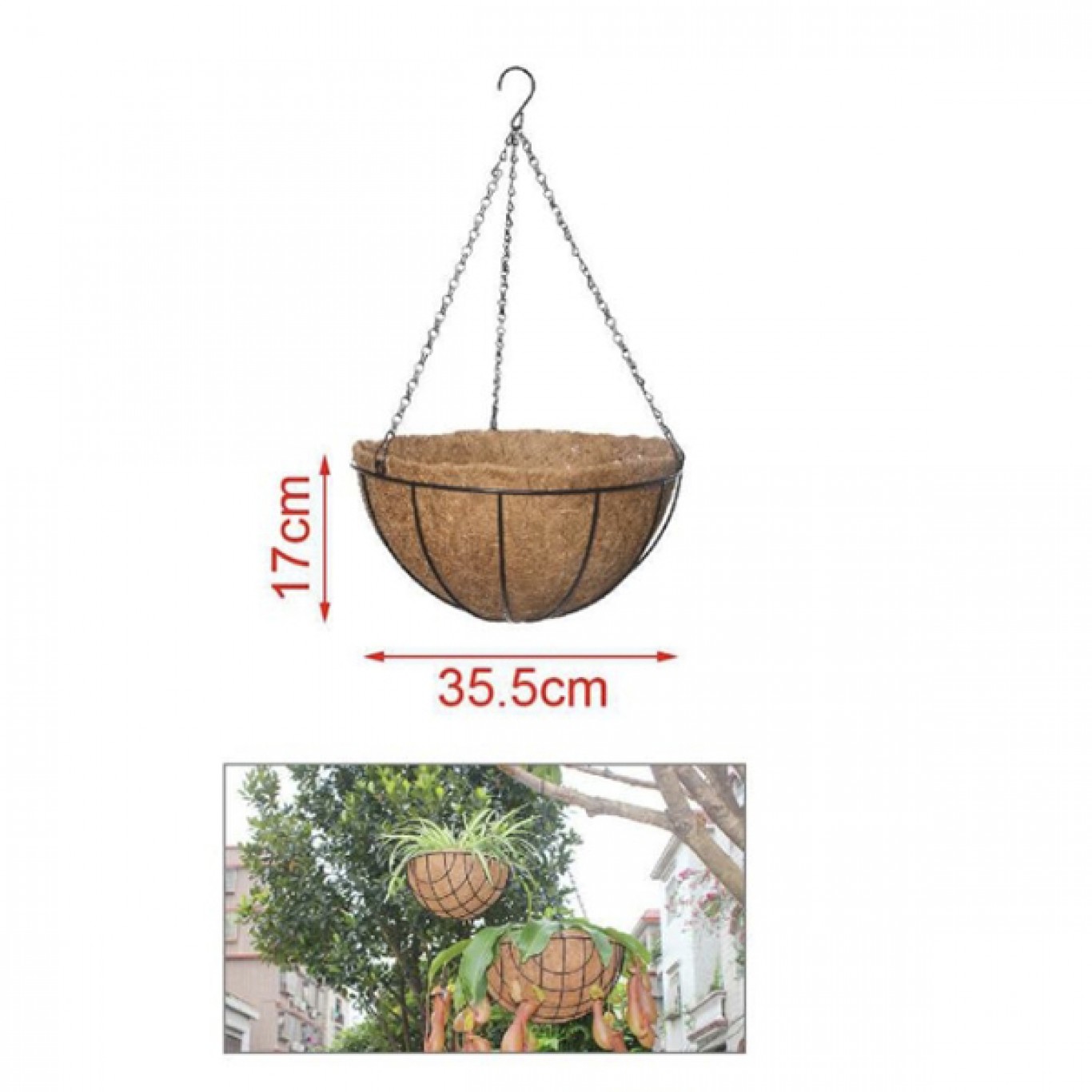 Κρεμαστό Μεταλλικό Κασπώ με Κοκκοφοίνικα 17 x 35.5 cm Κρεμαστό Μεταλλικό Κασπώ με Κοκκοφοίνικα 17 x 35.5 cm