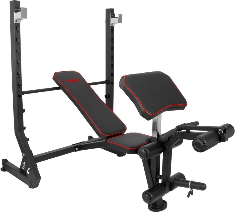 Πάγκος Άρσης Βαρών Amila με Ρυθμιζόμενη Πλάτη & Μαξιλάρι Δικεφάλων Πάγκος Άρσης Βαρών Amila με Ρυθμιζόμενη Πλάτη & Μαξιλάρι Δικεφάλων