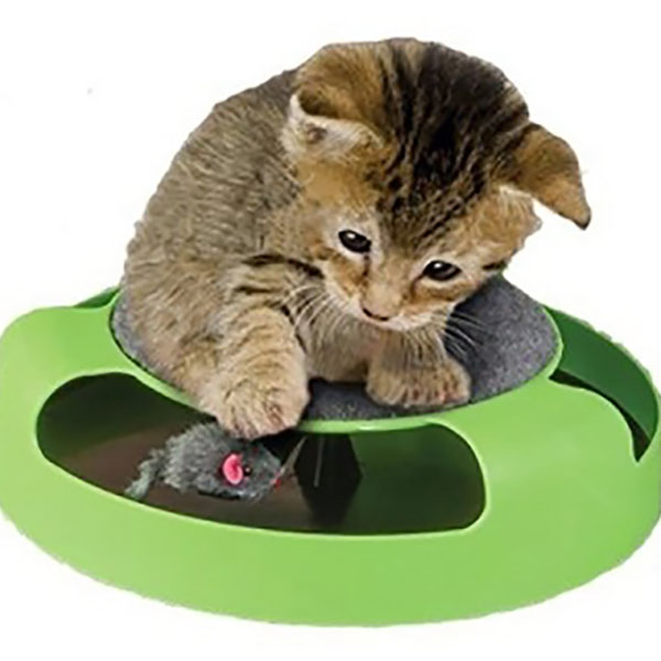 Παιχνίδι Κίνησης για Γάτες- Πιάσε το Ποντίκι Παιχνίδι Κίνησης για Γάτες- Πιάσε το Ποντίκι