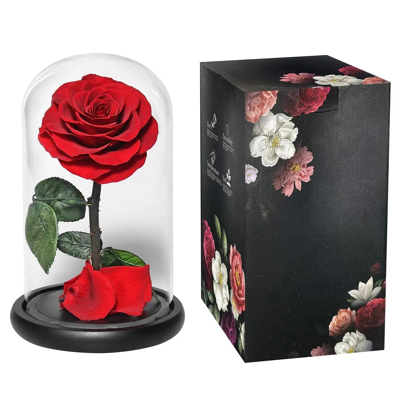 Παντοτινό Κόκκινο Τριαντάφυλλο σε Γυάλινο Βάζο 22 x 14cm Παντοτινό Κόκκινο Τριαντάφυλλο σε Γυάλινο Βάζο 22 x 14cm