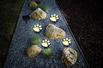 Lightex Paw Σετ Ηλιακών Φωτιστικών Δαπέδου με Σχήμα Πατούσας Ψυχρού Φωτισμού 7500K 0.06W με Αισθητήρα Φωτός 4τμχ σε Μαύρο Χρώμα Lightex Paw Σετ Ηλιακών Φωτιστικών Δαπέδου με Σχήμα Πατούσας Ψυχρού Φωτισμού 7500K 0.06W με Αισθητήρα Φωτός 4τμχ σε Μαύρο Χρώμα