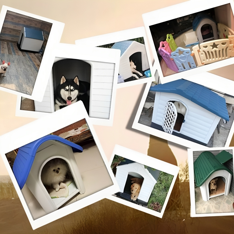 Πλαστικό Σπιτάκι για Μεσαίου Μεγέθους Σκύλους - 78.5 x 81.5 x 87.7cm - Nunbell Πλαστικό Σπιτάκι για Μεσαίου Μεγέθους Σκύλους - 78.5 x 81.5 x 87.7cm - Nunbell